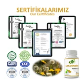 Karahindiba Kapsül (Dandelion Capsule)  60 Adet thumbnail 5