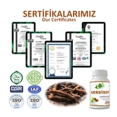 Kordisep Kapsül (CORDYCEPS CAPSULE) 60 Adet thumbnail 5