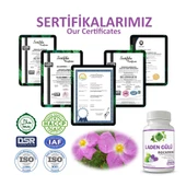Laden Gülü Kapsül (Rock Rose Capsule) 60 Adet thumbnail 5