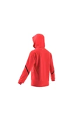 adidas Erkek Sweatshirt IC8050 thumbnail 12