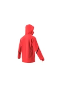 adidas Erkek Sweatshirt IC8050 thumbnail 10