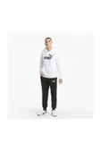 Puma Big Logo Hoodie thumbnail 5