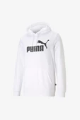 Puma Big Logo Hoodie thumbnail 2
