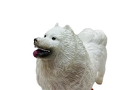 Soft Köpekler - Samoyed Cinsi Köpek  - E013 thumbnail 4