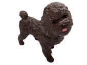 Soft Köpekler - Poodle Cinsi Köpek - E013 thumbnail 3