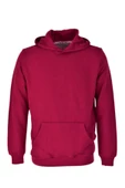 Erkek Kapüşonlu Basic Sweatshirt R2248 BGL-ST03192 thumbnail 6