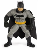 Batman Yüzme Arkadaşları - 6067008 thumbnail 4