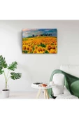Ayçiçek Tarlası Canvas Tablo (50x70) thumbnail 3
