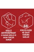 Old Spice Whitewater Erkek Için Stick Deodorant thumbnail 7