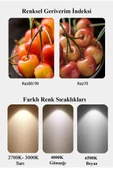 Panosonic 14W (100W) E27 Led Ampul 6500K - Beyaz thumbnail 6