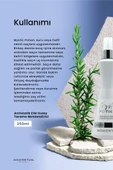 Momentum My Stick Potion 250 Ml thumbnail 2