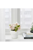 IKEA Förenlıg Plastik Saksı - Beyaz - 9 Cm Çap thumbnail 2