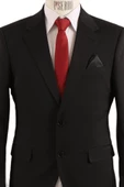 Regular Fit Takım Elbise thumbnail 4