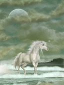 Pegasus - Kanvas Tablo thumbnail 1