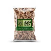 Havlıcan Tane Kök 100 gr, Derya Eren thumbnail 1
