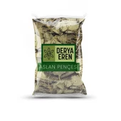 Aslan Pençesi Testere Dişli 100 gr, Derya Eren thumbnail 1