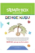 Stemist Box Denge Kuşu thumbnail 4