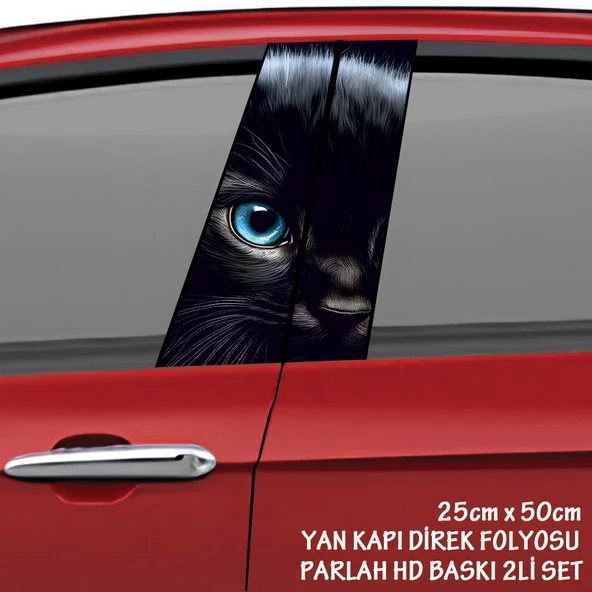 yavru kedi mavi göz oto sticker - yeni nesil hd baskı kalitesi araba kapı direkleri kaplama folyosu - tuning modifiye aksesuar ürün görseli 1