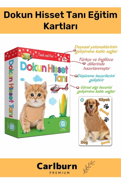 Özel Üretim Duyusal Gelişim Görsel Algı Eğlenceli Öğrenme Çocuk Dokun Hisset Tanı Eğitim Kartları ürün görseli 1