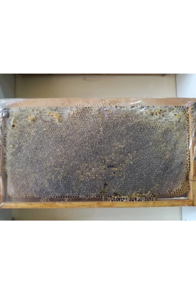 OZMUŞ BAL   Kekik Petek Çıta Bal 3,7kg--4kg ürün görseli 1