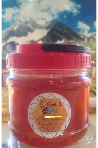 OZMUŞ BAL   Polifrolalı ( Çok Çiçekli ) Bal 1kg ürün görseli 1