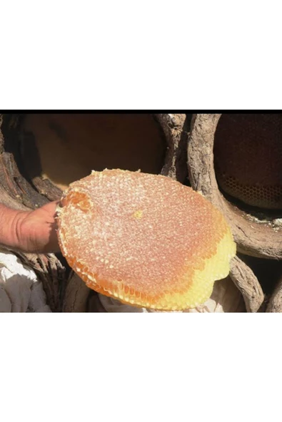 OZMUŞ BAL   Sivas Dan Denemelik 500gr Kara Kovan ürün görseli 1