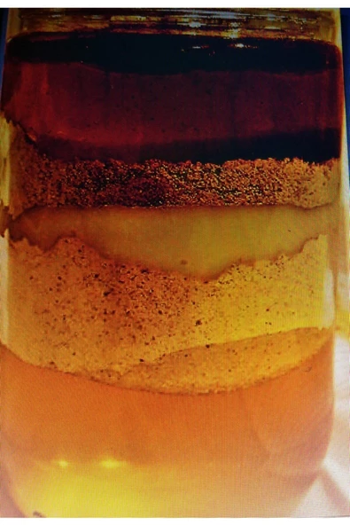 OZMUŞ BAL   Arı Atomu Arı Sütü Polen Propolis Bal Karışımı 1kg ürün görseli 1