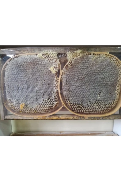 OZMUŞ BAL   Sivas Ozmuş Köyünden Gerçek Karakovan 1,2kg ürün görseli 1