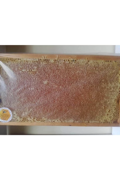 OZMUŞ BAL   Ozmuş Organik Petek Bal 3.2 Kg ürün görseli 1