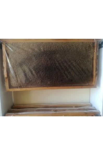 OZMUŞ BAL   Petek Bal 3kg ürün görseli 1