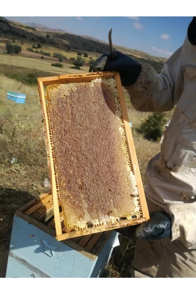 OZMUŞ BAL   Üretimden Dev Kampanya Çıta Bal  2,7- 3 kg ürün görseli 1