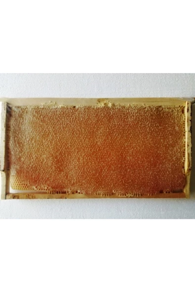 OZMUŞ BAL   Sivasdan Organik Petek Bal 2,5  kg 2,9 kg ürün görseli 1