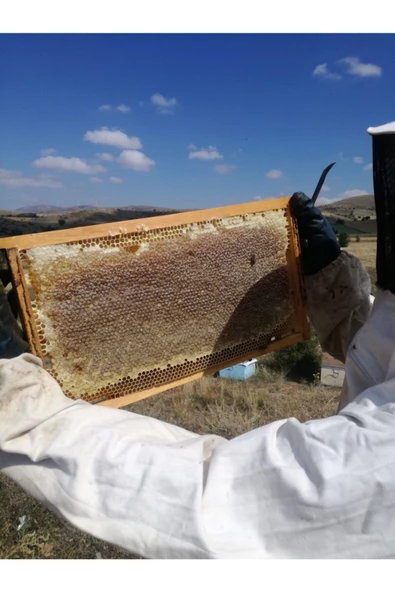 OZMUŞ BAL   Çıta Bal 3,4kg ürün görseli 1