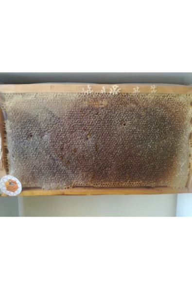 OZMUŞ BAL   Ozmuş Petek Bal 3kg ürün görseli 1