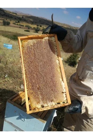 Sivas Dükkan   Petek Bal 3kg ürün görseli 1