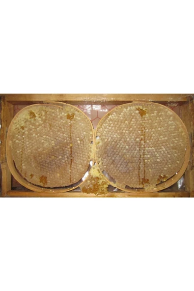 Organikmarketten   Erzincan Karakovan Petek Bal 1 kg ürün görseli 1