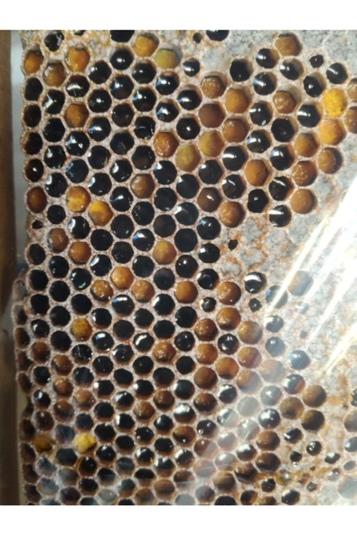 OZMUŞ BAL   Sivas Dan Ham Polen 1kg ürün görseli 1