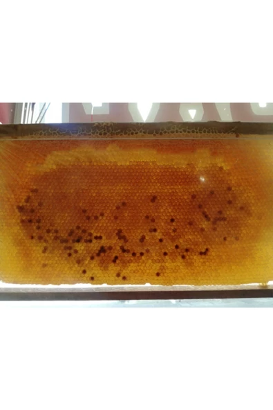 OZMUŞ BAL   Polen Petek 3kg ürün görseli 1