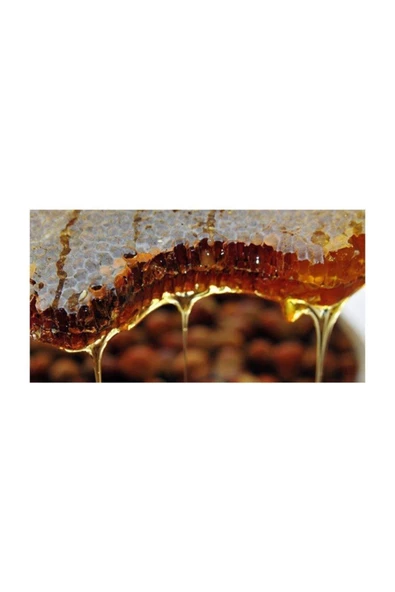Organikmarketten   Erzincan Çiçek Balı (petek) 2 Kg - 2.5 Kg ürün görseli 1