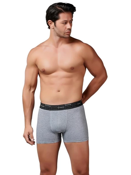 Gümüş Erkek Çizgili Likralı Spor Boxer 3114 ürün görseli 1