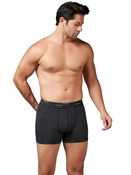 6 Adet Gümüş Erkek Çizgili Likralı Spor Boxer 3114 ürün görseli 1