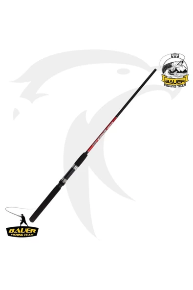 Spinex 240 (10-40gr ) Spin Kamışı - Resim 2