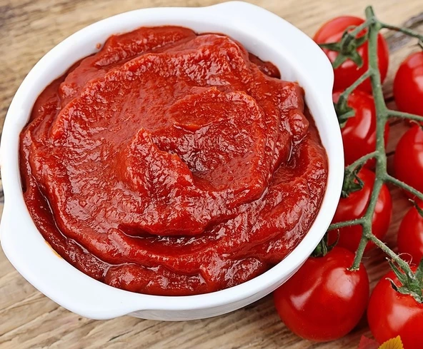 Domates Salçası 2 kg ürün görseli 1