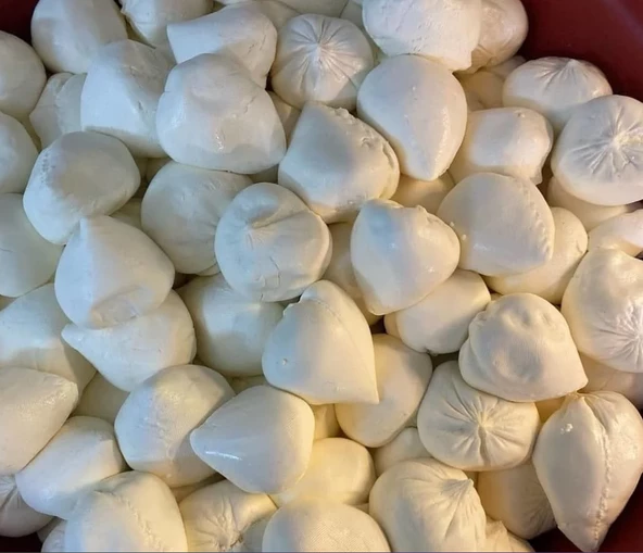 Urfa Kuzubaşı Peynir 3 kg ürün görseli 1
