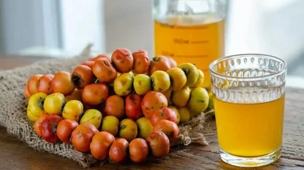 Alış Sirkesi 2 kg ürün görseli 1