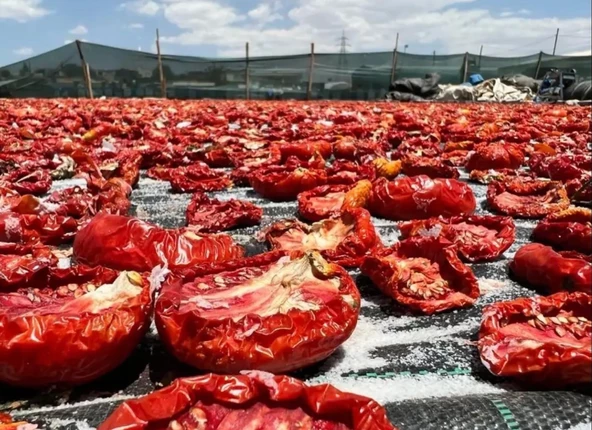 Domates Kuru Kızartmalık 2 kg ürün görseli 1