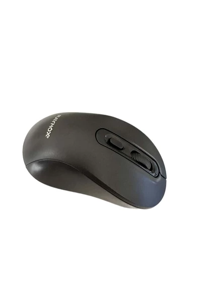 RAYNOX RX-M207 KABLOSUZ MOUSE - Resim 2