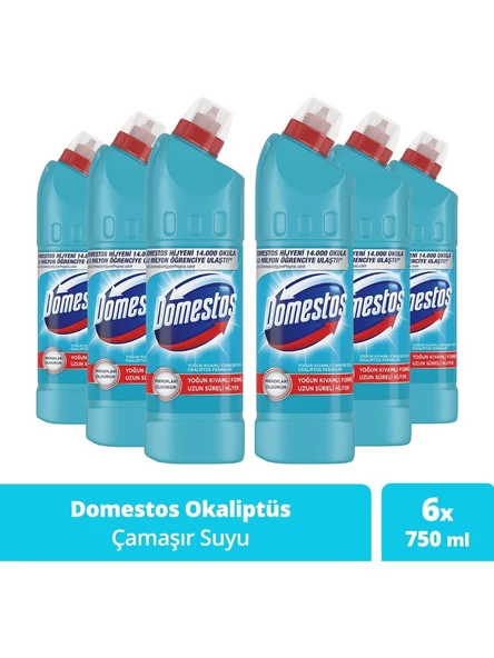 Domestos Çamaşır Suyu Yoğun Kıvamlı Formül Okaliptüs Ferahlığı Uzun Süreli Hijyen 750 mlX6 ürün görseli 1