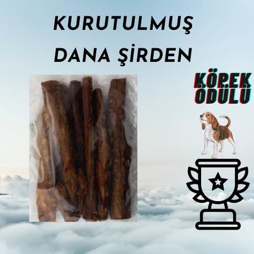 Premium Dana Şirden - Doğal Probiyotik Etkili ve Besleyici Köpek Çiğneme Atıştırmalığı 100 gr ürün görseli 1