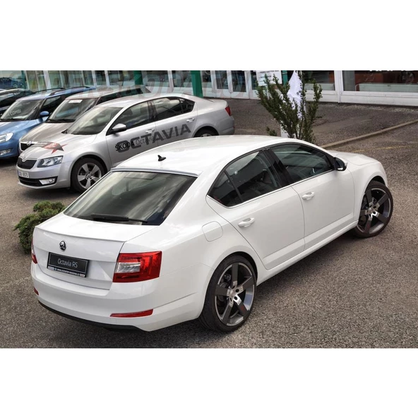 SKODA OCTAVİA ASTARLI ANATOMİK 2010- SPOYLER (SRY) - Resim 2